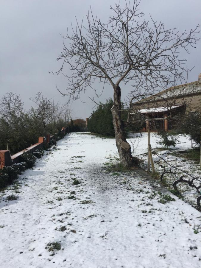 Malicodia Villa Santa Maria di Licodia ภายนอก รูปภาพ